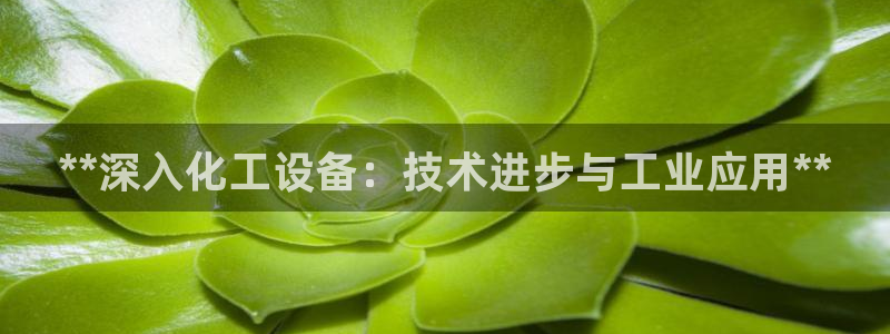 门徒娱乐用户评价与反馈