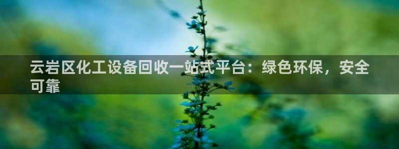 门徒娱乐用户评价与反馈