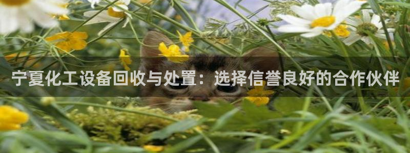 门徒娱乐28j娱乐判官333oo