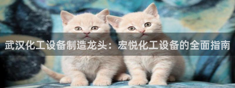 门徒平台注册登陆失败怎么回事