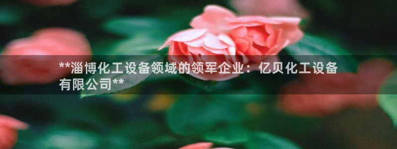 门徒娱乐的创始人背景