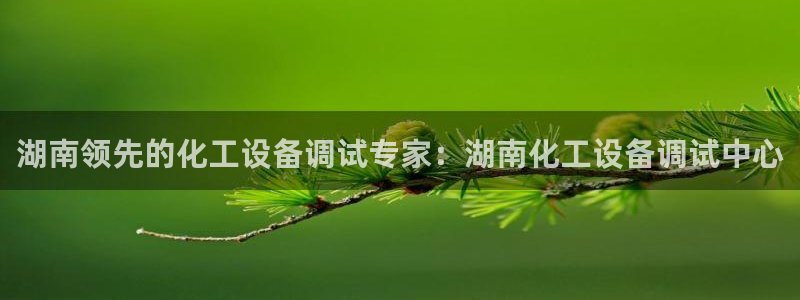门徒娱乐是做什么的