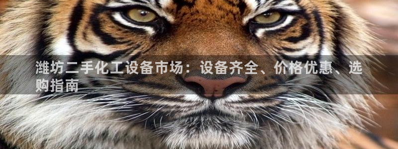 门徒娱乐总代理