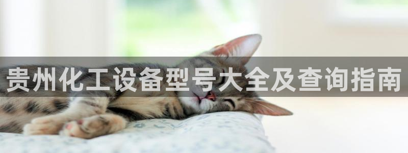 门徒平台测速网址大全
