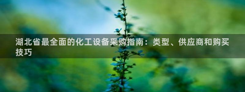 门徒平台注册中心官网
