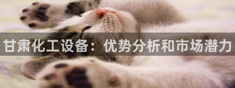 门徒娱乐登录中心