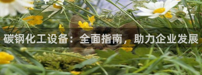 门徒平台开户条件
