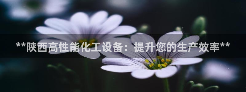 门徒娱乐官网首页下载