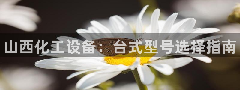 门徒娱乐登录中心官网