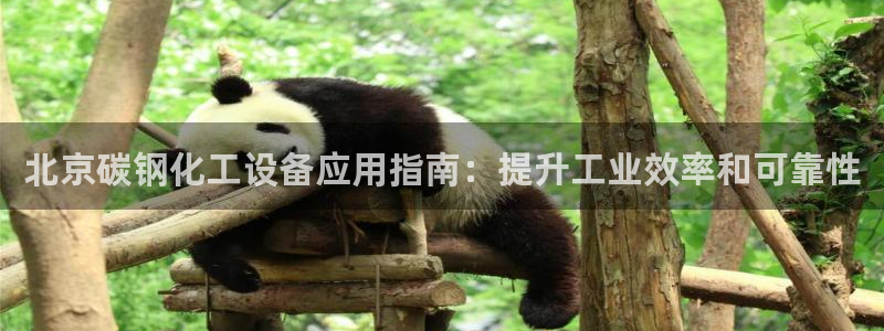 门徒平台系 5O6917 门徒