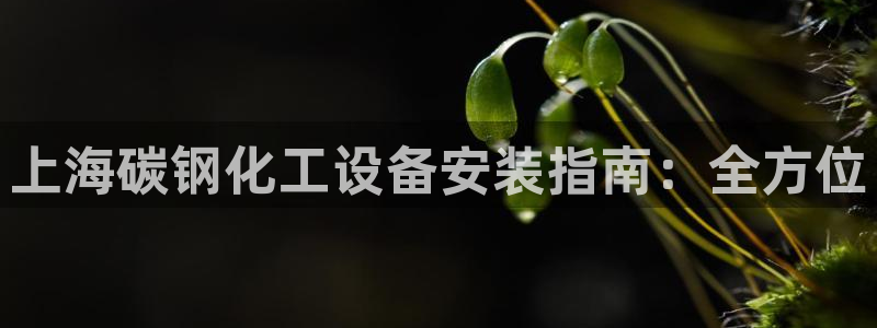 门徒平台注册中心在哪里