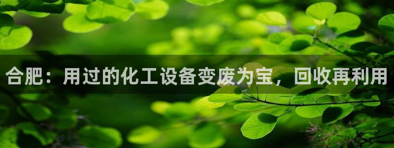 门徒平台登录注册失败