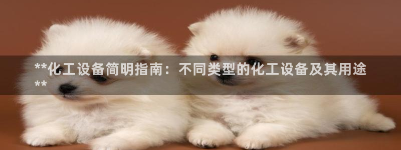 门徒娱乐平台下载安装