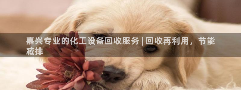 门徒平台云 411o31 门徒