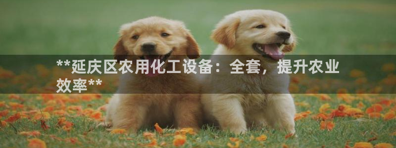 门徒娱乐创始人简介资料