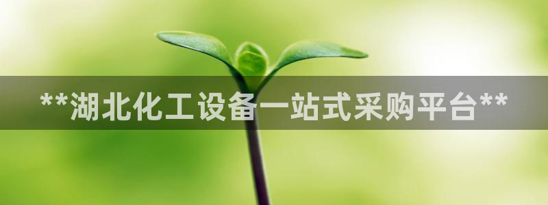 门徒平台合法吗