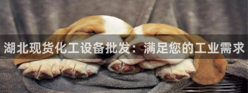 门徒娱乐成功案例