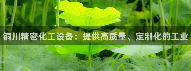 门徒平台注册登陆失败怎么办