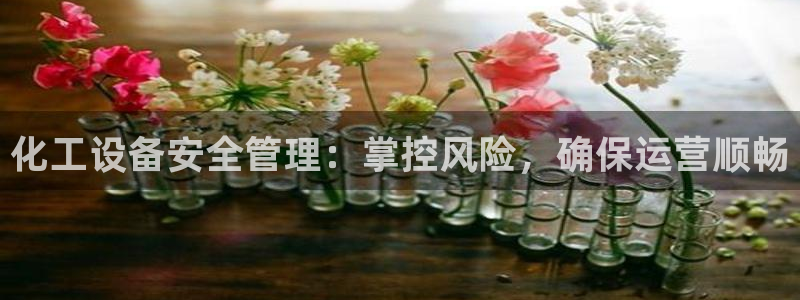 门徒娱乐是什么