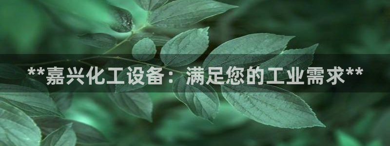 门徒娱乐创始人简介