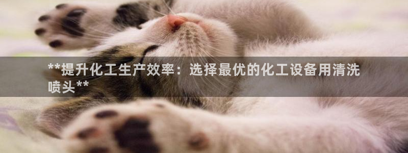 门徒平台登录