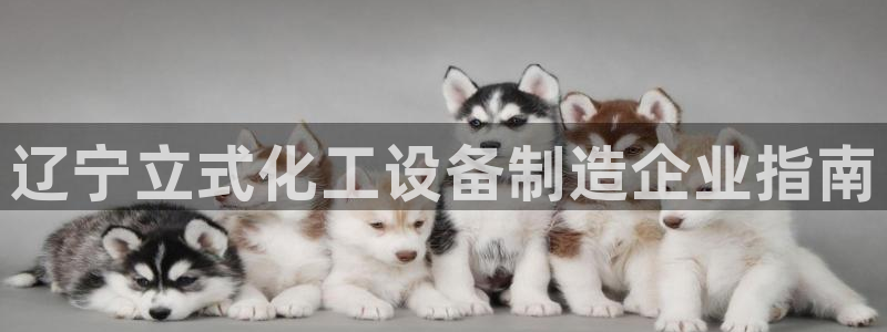 门徒娱乐怎么注册公司