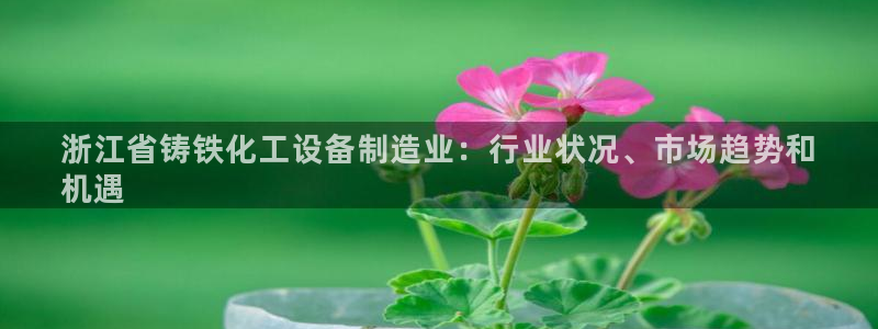 门徒娱乐总代理是谁