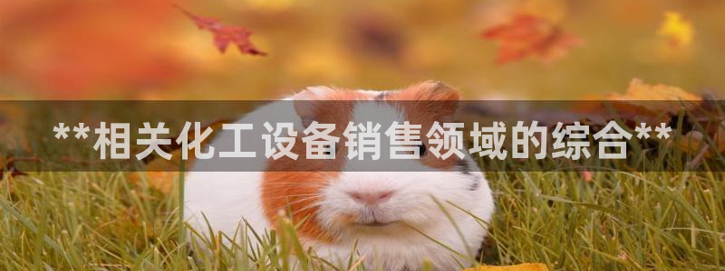 门徒娱乐注册官网