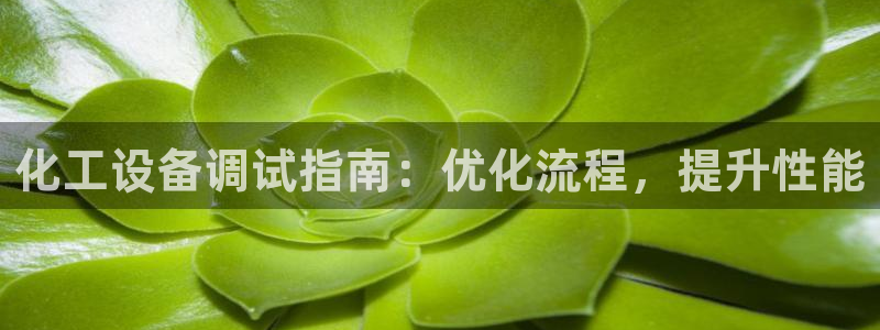 门徒平台布7O777