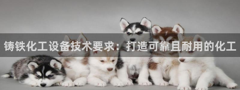 门徒娱乐注册登录地址