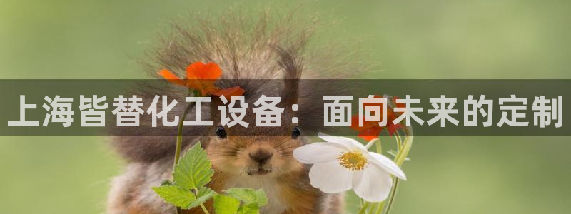 门徒娱乐平台下载安装