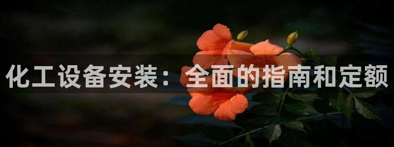 门徒平台定制 411O31 门徒