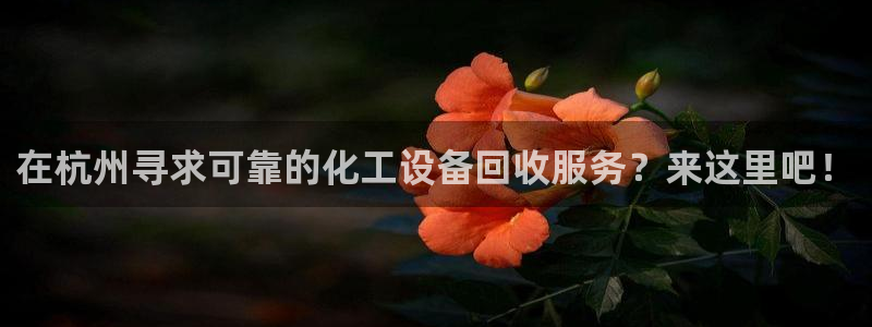 门徒平台注册中心电话