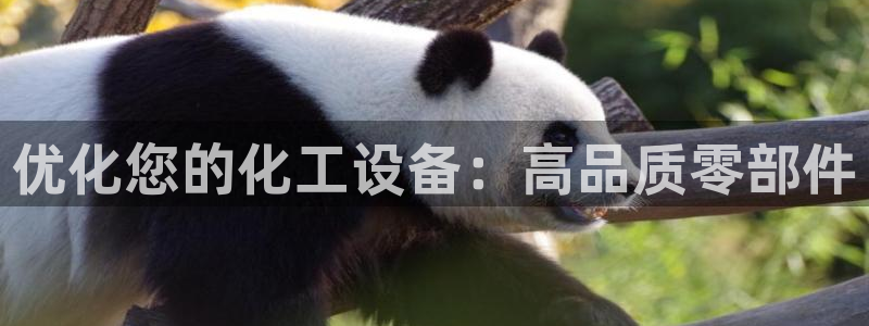 门徒娱乐联盟