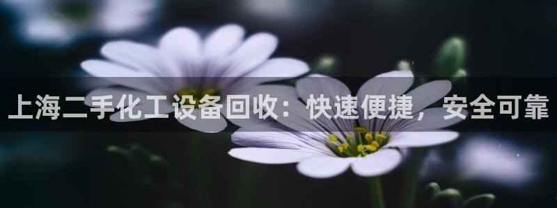 门徒平台怎么样赚钱