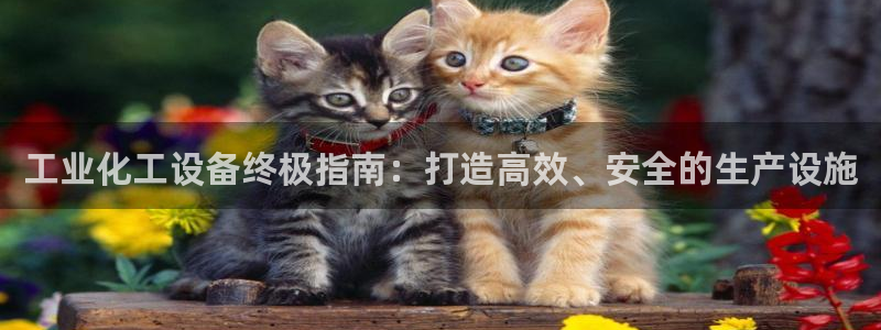 门徒娱乐
