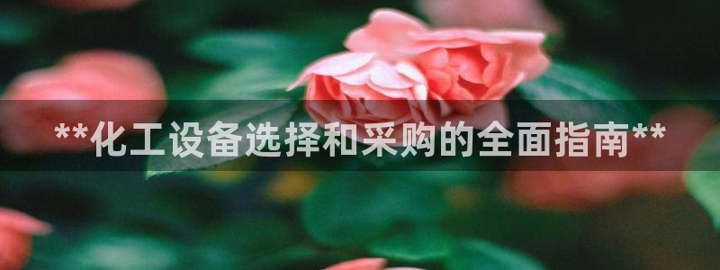 门徒平台推 58534I 平台