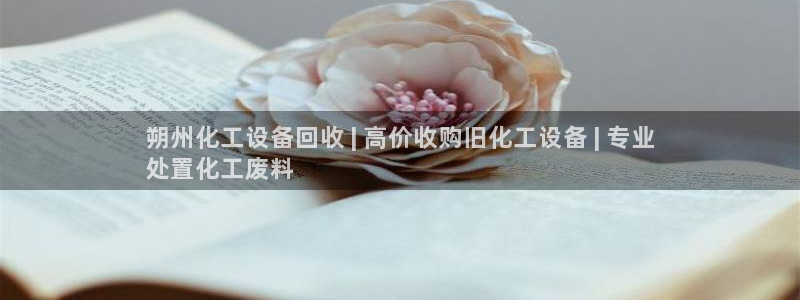 门徒平台云 411o31 门徒