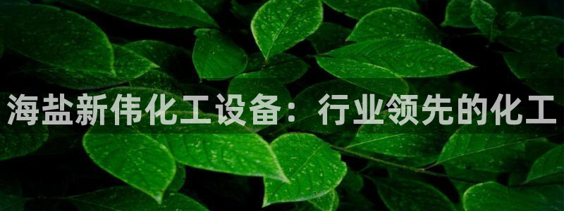 门徒娱乐平台代理登录