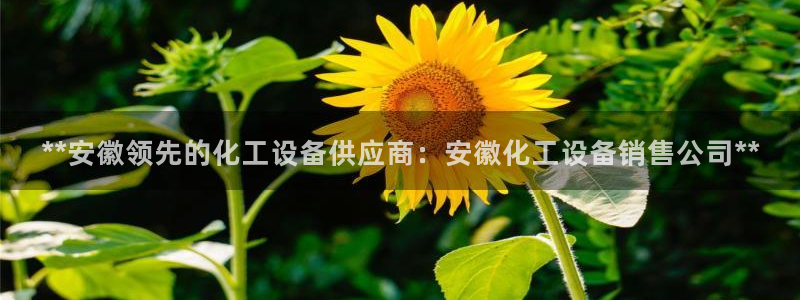 门徒娱乐是干嘛