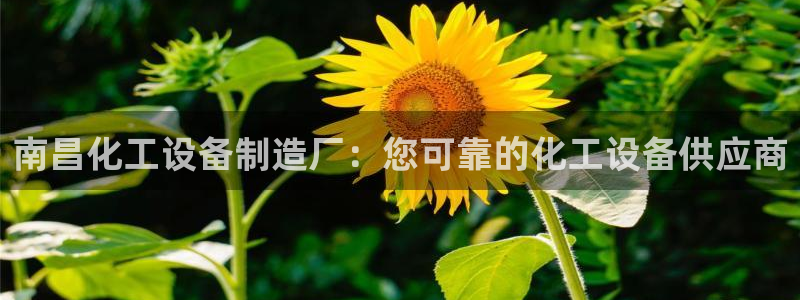 门徒平台开户流程