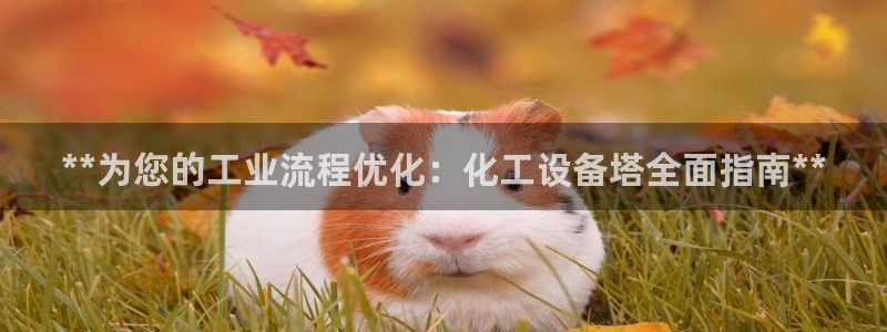 门徒平台官网首页下载