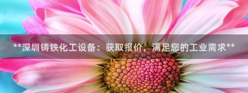 门徒娱乐线上客服：**深圳铸铁化工设备：获取报价，