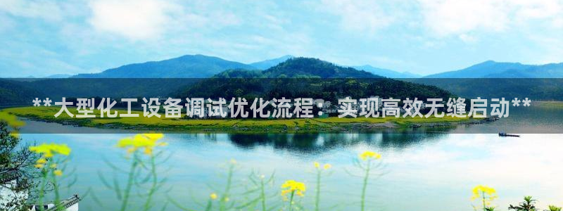 娱乐门徒txt：**大型化工设备调试优化流程：实现