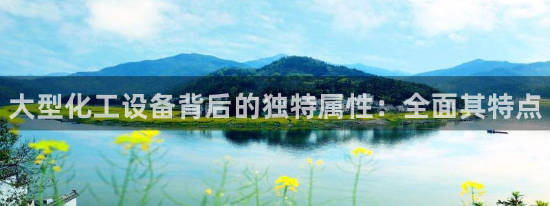 门徒平台系 5O6917 门徒：大型化工设备背后的