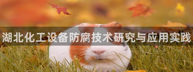 门徒平台是什么：湖北化工设备防腐技术研究与应用实践