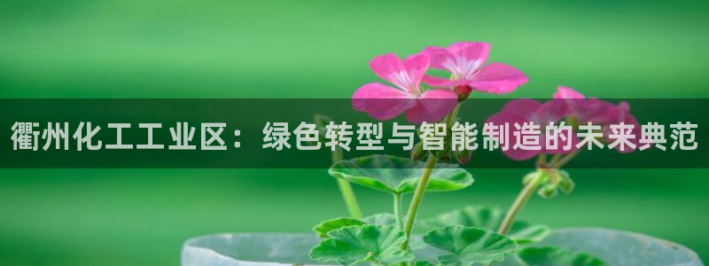 门徒娱乐用户评价与反馈