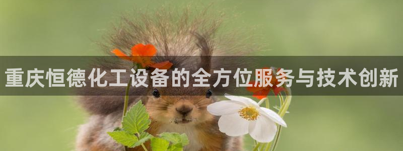 门徒平台服务站