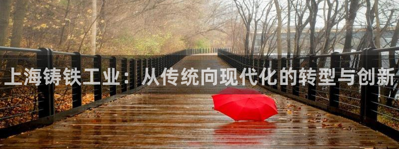 门徒平台建 411o31 门徒：上海铸铁工业：从传