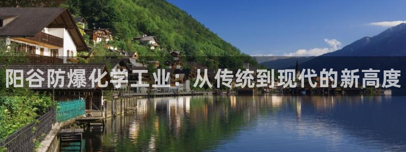 门徒平台代理：阳谷防爆化学工业：从传统到现代的新高